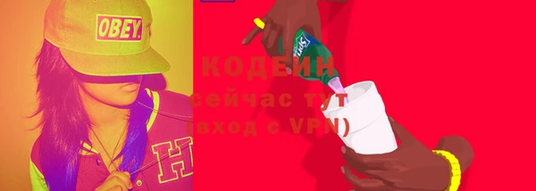 амф Кирсанов